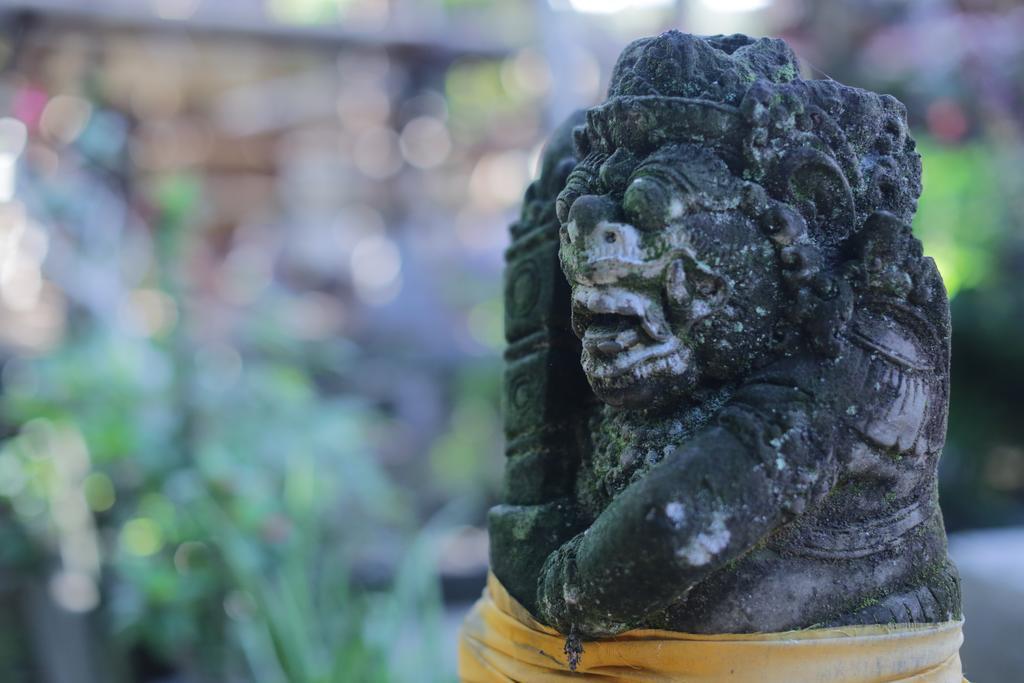 Karang Mesari Ubud Guest House Eksteriør billede