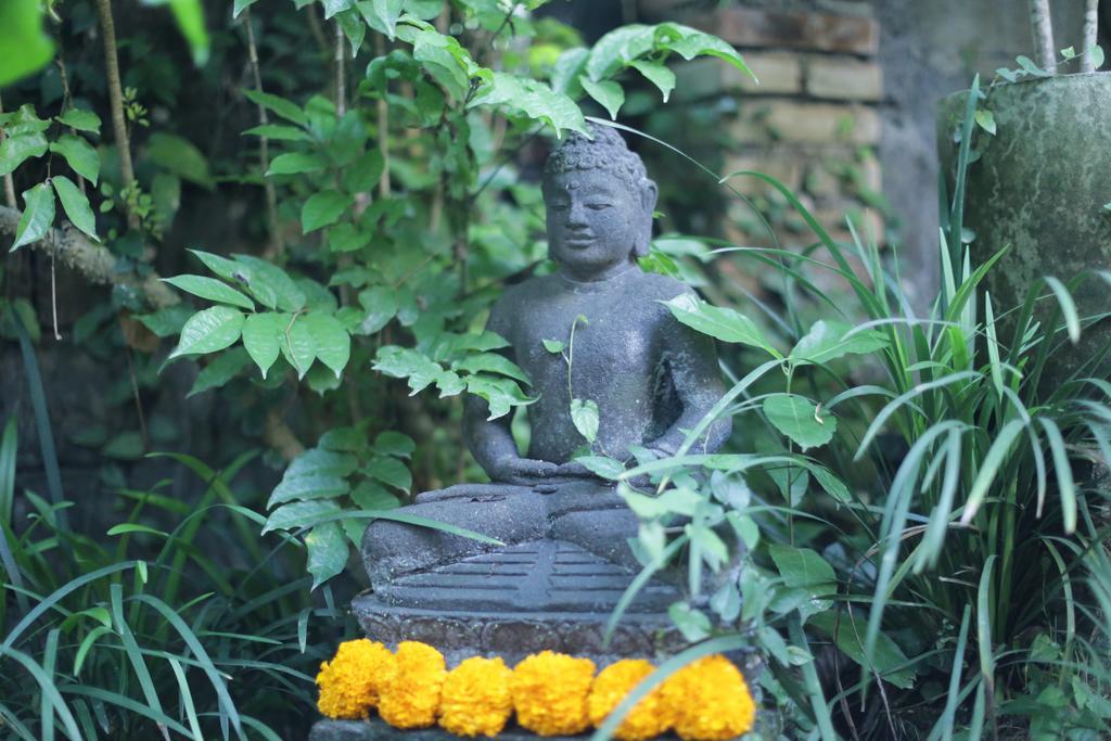 Karang Mesari Ubud Guest House Eksteriør billede