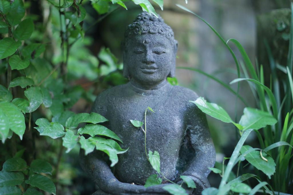 Karang Mesari Ubud Guest House Eksteriør billede