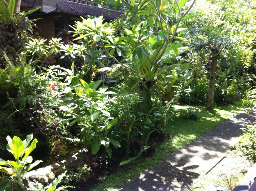 Karang Mesari Ubud Guest House Eksteriør billede