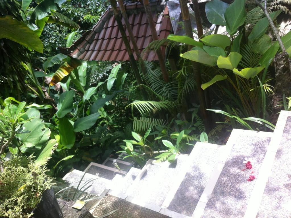 Karang Mesari Ubud Guest House Eksteriør billede