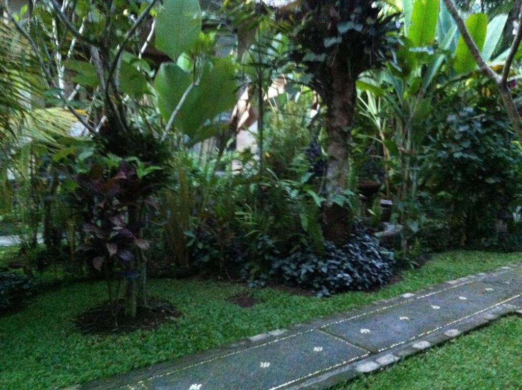 Karang Mesari Ubud Guest House Eksteriør billede